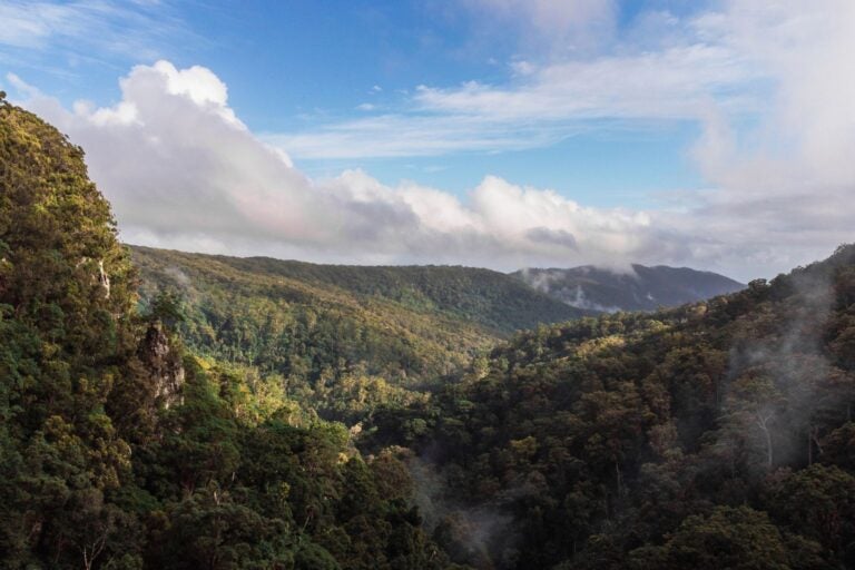 Drone photography from the top of the Springbrook National Park