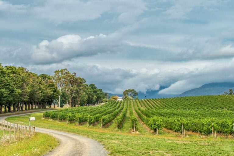 Yarra Valley