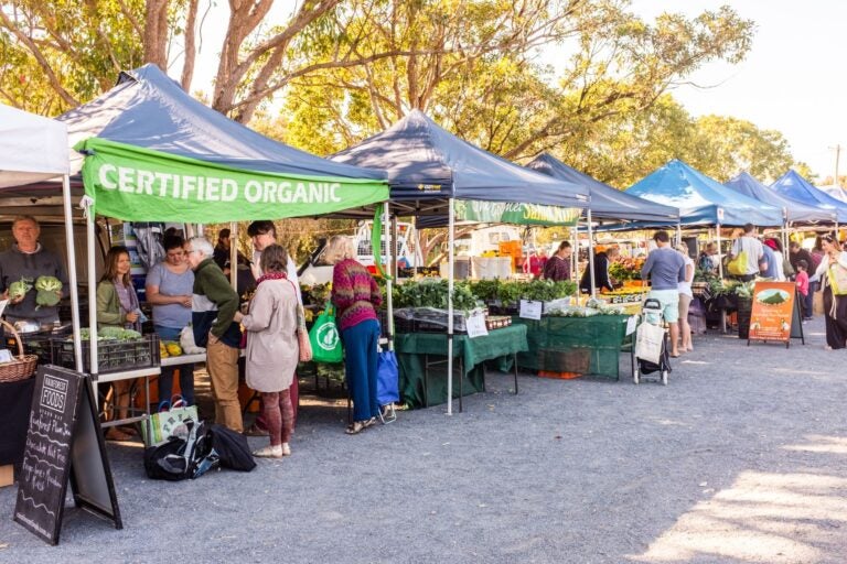 Byron Bay Market.