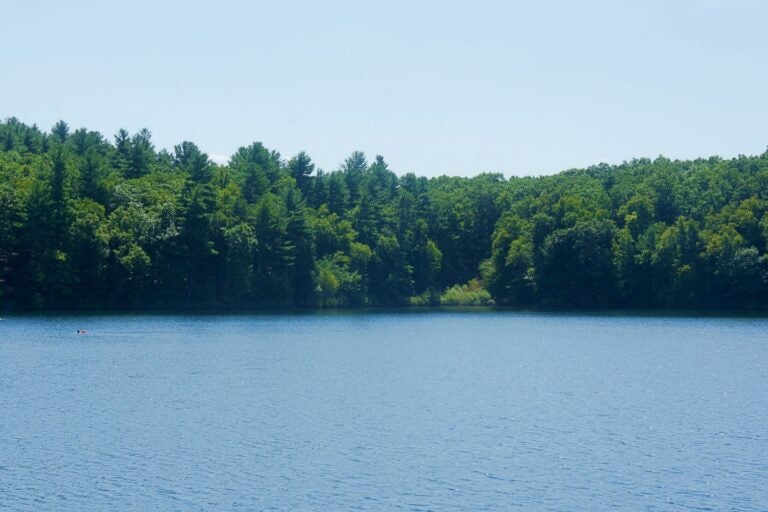 View of Walden Pond in Concord