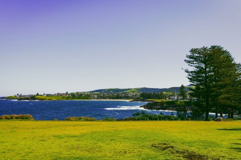 Field at Kiama