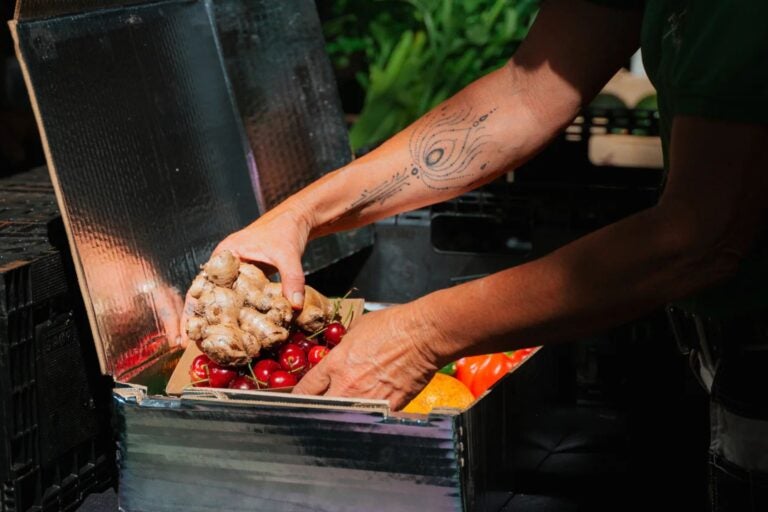 Noosa Farmers Market