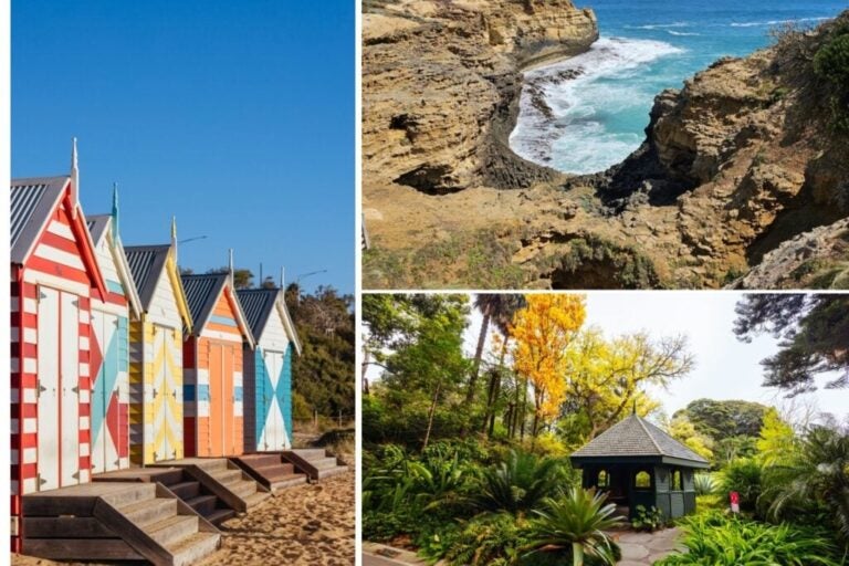 beaches and the botanic garden in melbourne.