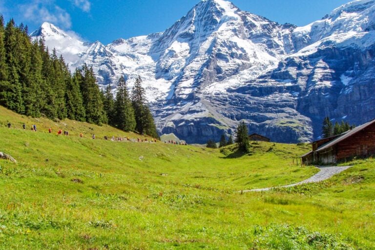 Jungfrau Marathon 