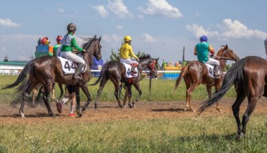 Jockey riding a horse at full gallop during a competitive horse racing event on the racetrack