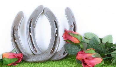 A pair of horseshoes and red roses on green grass with a white background