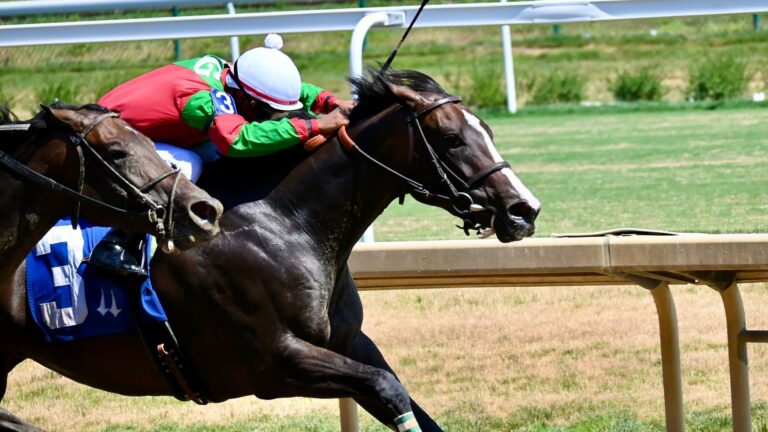 A winning racehorse and jockey crossing the finish line at Churchill Downs during the Kentucky Derby undercard races