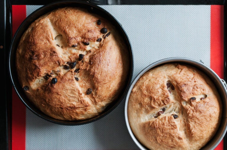 Freshly baked German Easter bread Osterbrot made with raisins and brioche dough in round tins