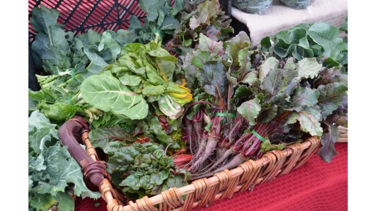 Fresh produce and vegetables on display at an outdoor farmers market in Palm Springs, California