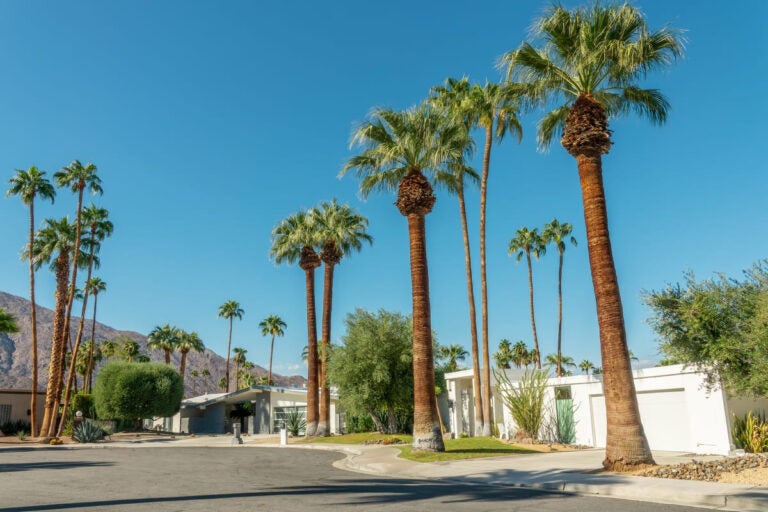 Mid-century modern houses with palm trees lining a sunny street in Palm Springs, California