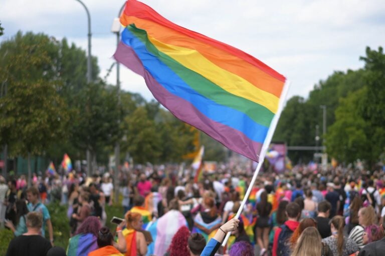 Many people wave rainbow flag.