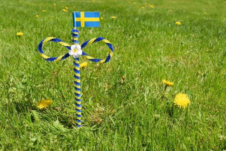 Decorative maypole and swedish flag on the green background.