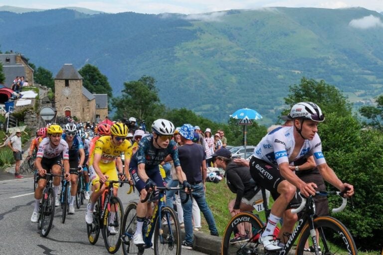 Pyrenean mountai