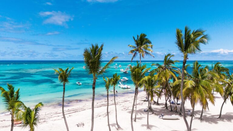 Aerial view of white sand beaches, turquoise Caribbean Sea, and palm trees near all-inclusive resorts in Punta Cana