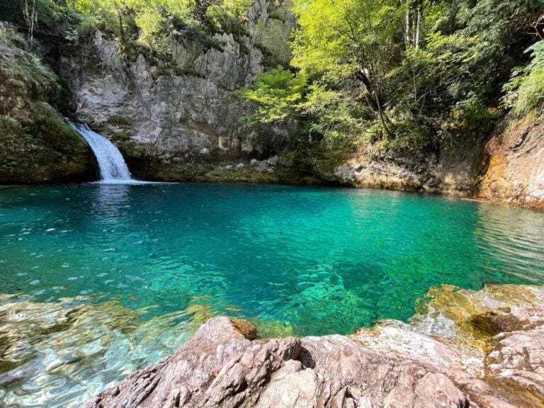 the blue eye spring surrounded by nature