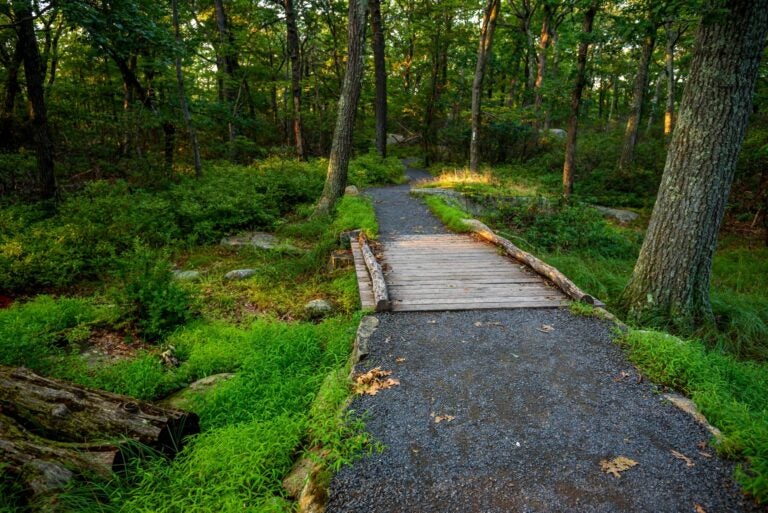 entry to the bear mountain state park 