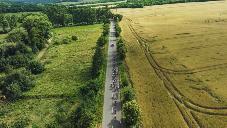 An overhead view of a peloton of professional cyclists riding along a country road