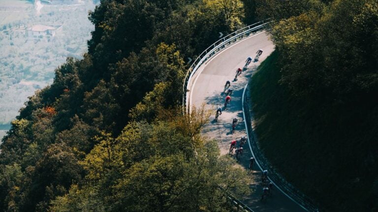 A professional cycling peloton racing along a curved road through green forest