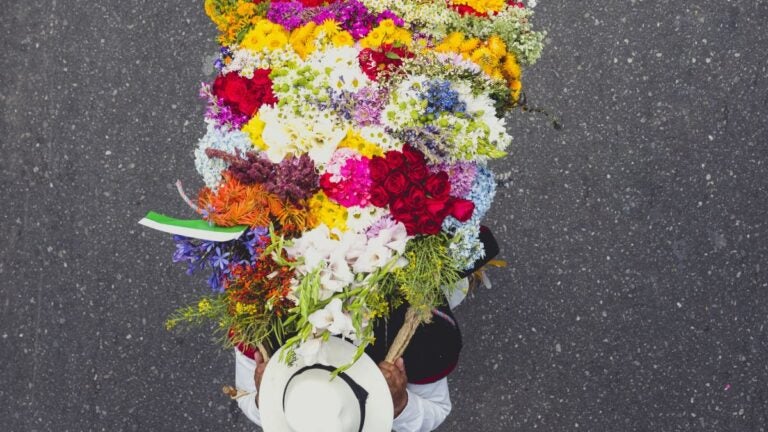 An overhead view of a silletero carrying a flower display during the Desfile de Silleteros