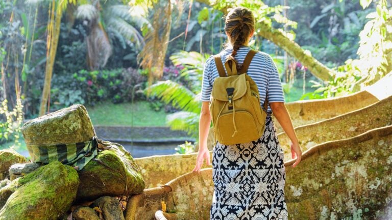 A woman with a backpack standing among the towering roots of a large tree in a dense tropical forest in Bali, Indonesia, gazing into the canopy.