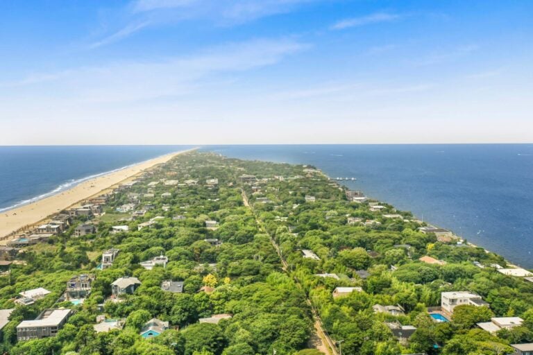 Fire Island seen from above