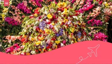 Medellin Flower Festival