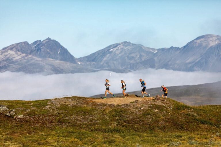 Runners run on the mountain.