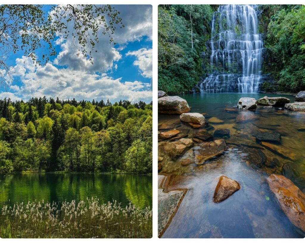 nature