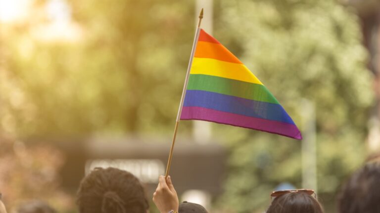 A person waves a large rainbow Pride flag enthusiastically along the route of the New York City Pride March, with crowds visible in the background.