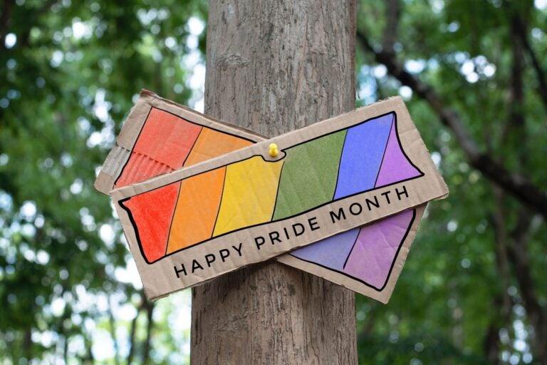 Happy Pride Month sticked on tree trunk.