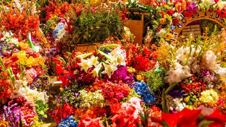 A traditional silleta packed with colorful flowers at the Medellín Flower Festival