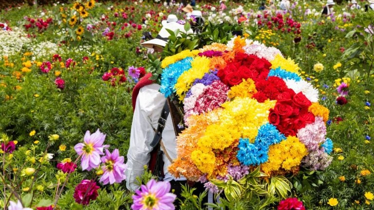 Silleteros carrying large flower arrangements on their backs during the parade in Medellín