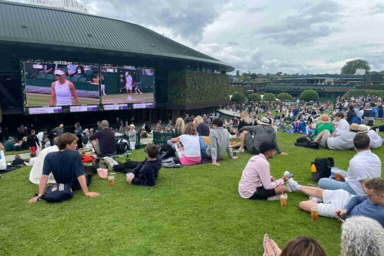 Summer Screens