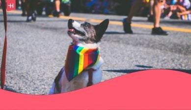 toronto pride