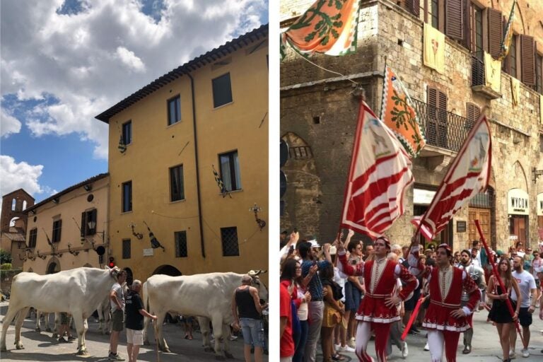 The day on Palio di Siena. 