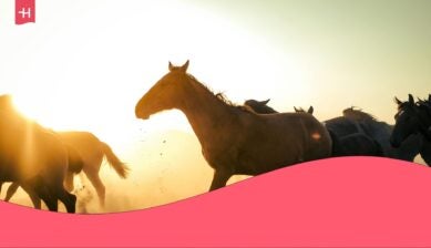 Palio di Siena