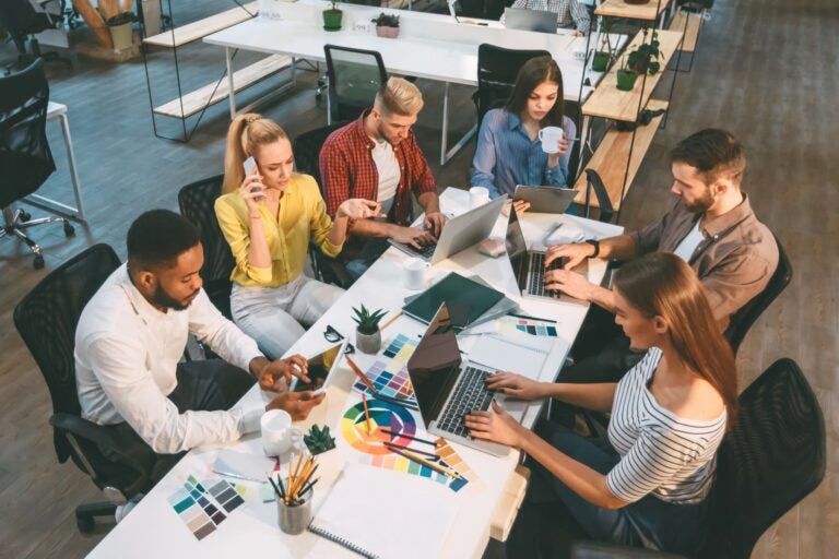 Interns working in an office 