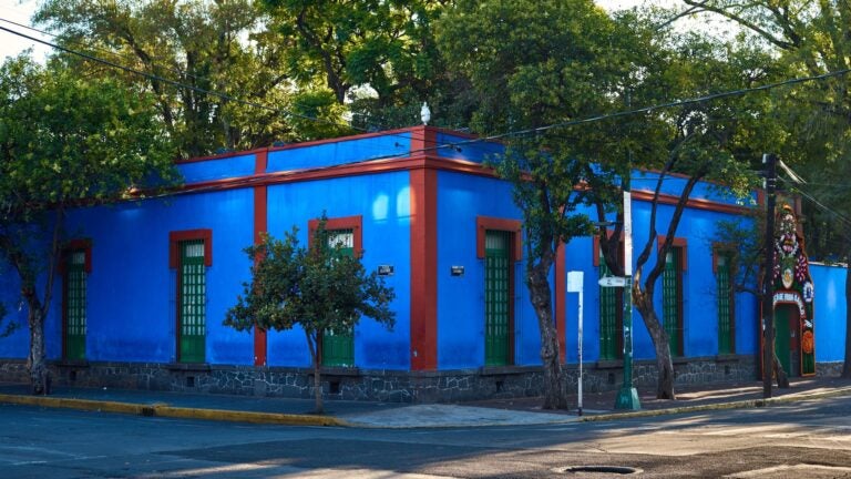 The exterior of the Frida Kahlo Museum, known as the Blue House, with its distinctive cobalt-blue walls and lush courtyard in the Coyoacán neighborhood of Mexico City on a sunny morning.