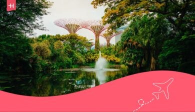 is singapore expensive to visit