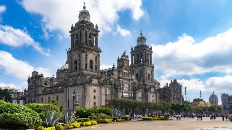 Panoramic daytime view of Mexico City's Zócalo with the Metropolitan Cathedral, surrounding gardens, agave plants, and open plaza under a blue sky.