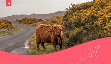 Scotland road trip: Best routes through the Highlands and beyond