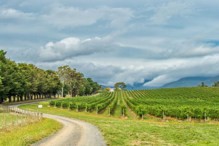 Vineyards of Yarra Valley - Does Waze work in Australia