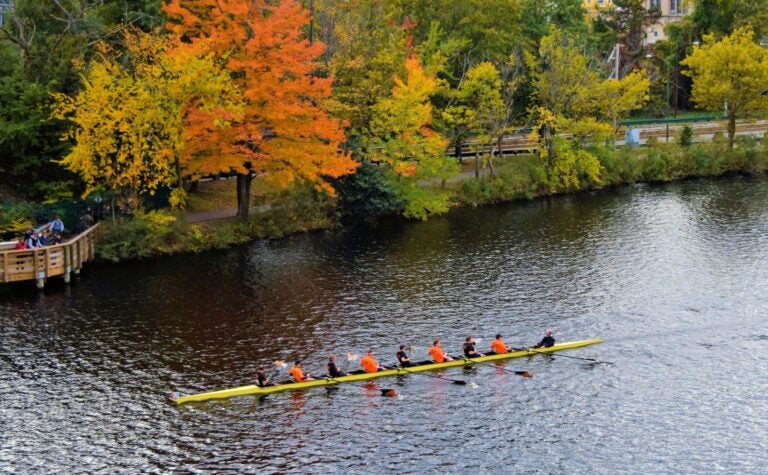 Rowers in a yellow racing shell on a river surrounded by colorful autumn trees.