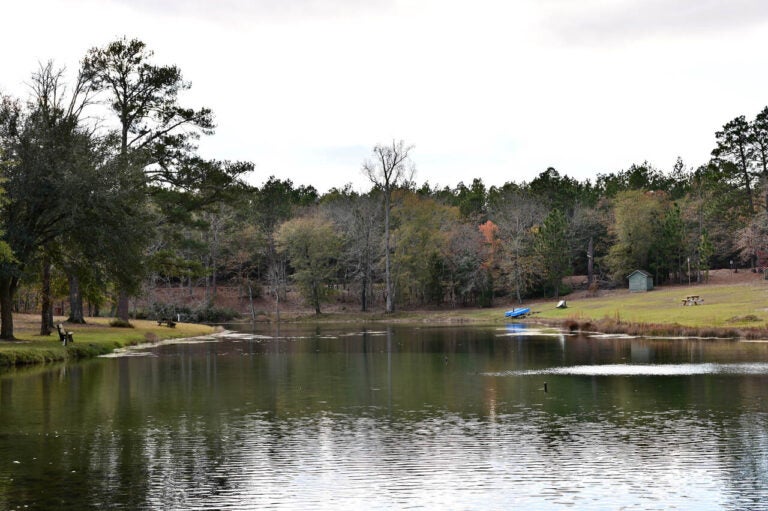 Quiet lake surrounded by trees and parkland in Aiken, South Carolina.
