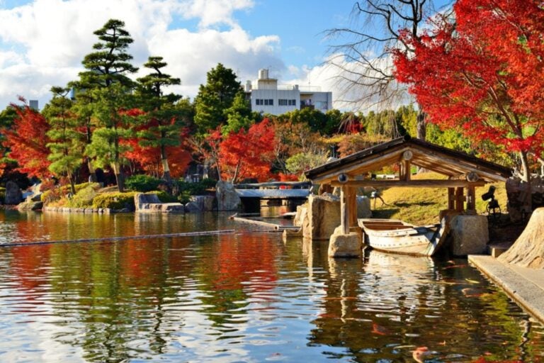Fall foliage at Nagoya.