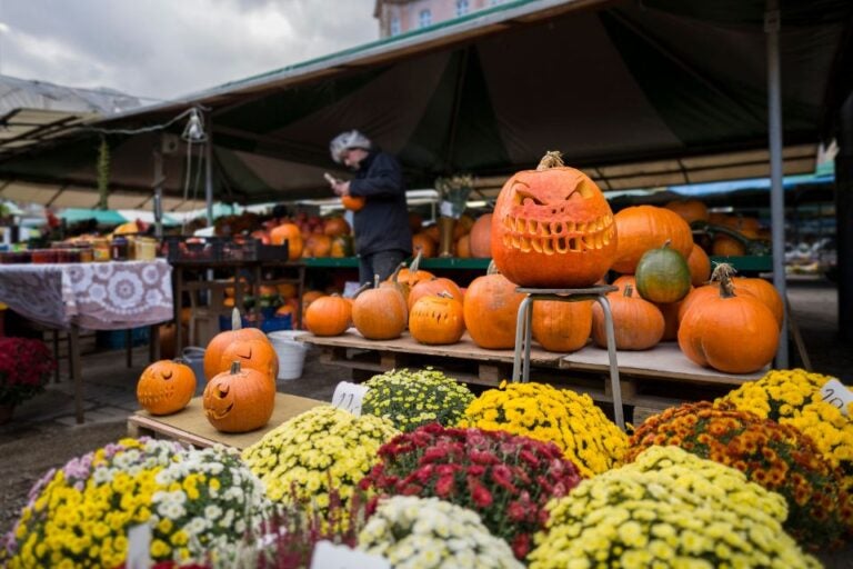 Halloween market 