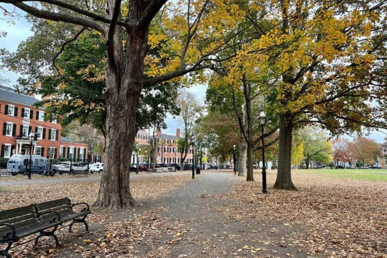 Salem Common