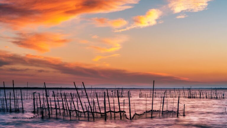 Wetland lagoon fringed with reeds at Parque Natural de la Albufera near Valencia under a low evening sun