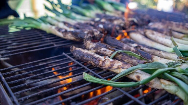 calcots being cooked on a grill