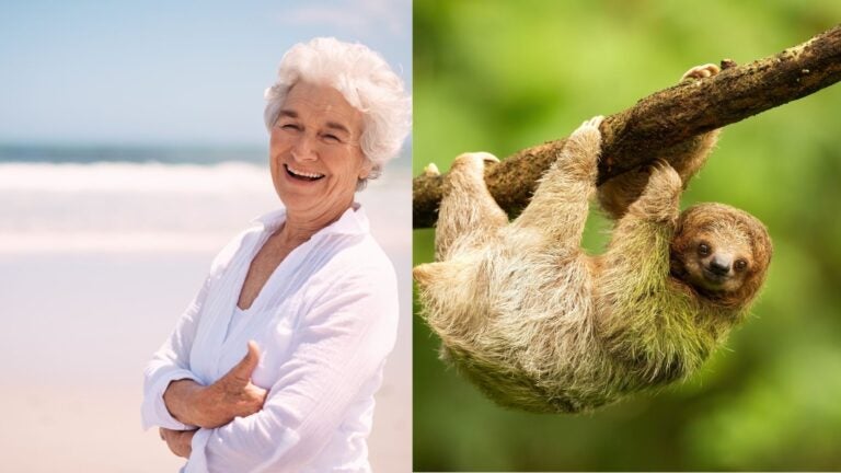 A smiling older woman on a beach beside a sloth hanging from a tree branch.